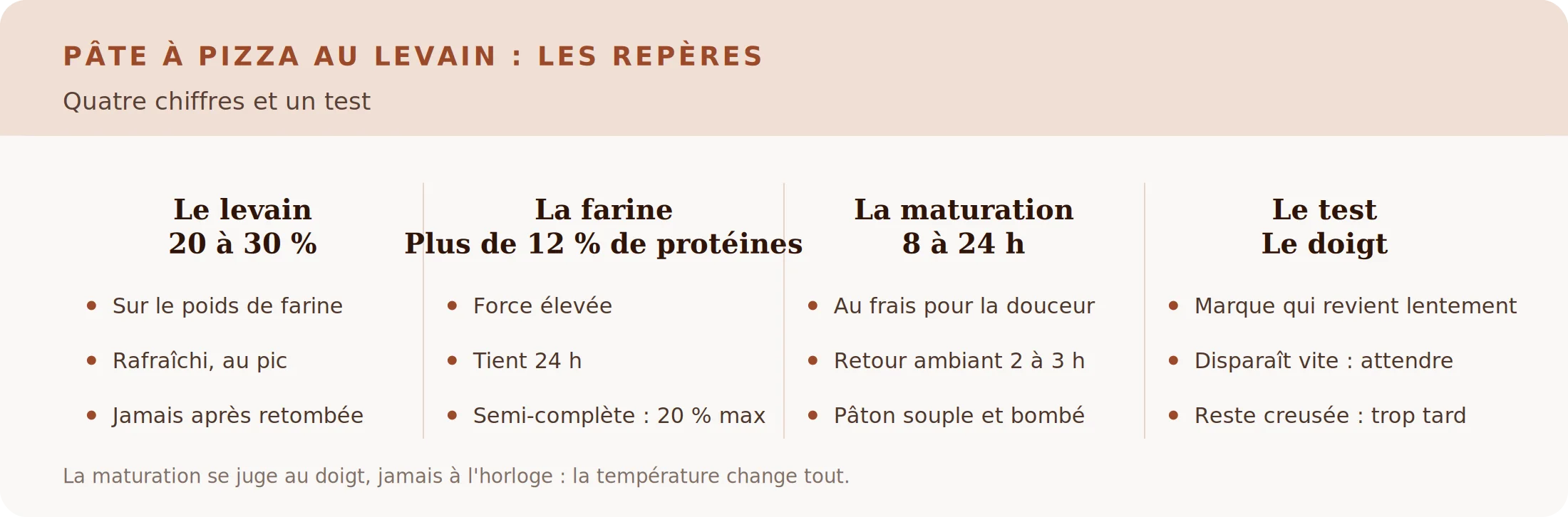 Les repères d'une pâte à pizza au levain