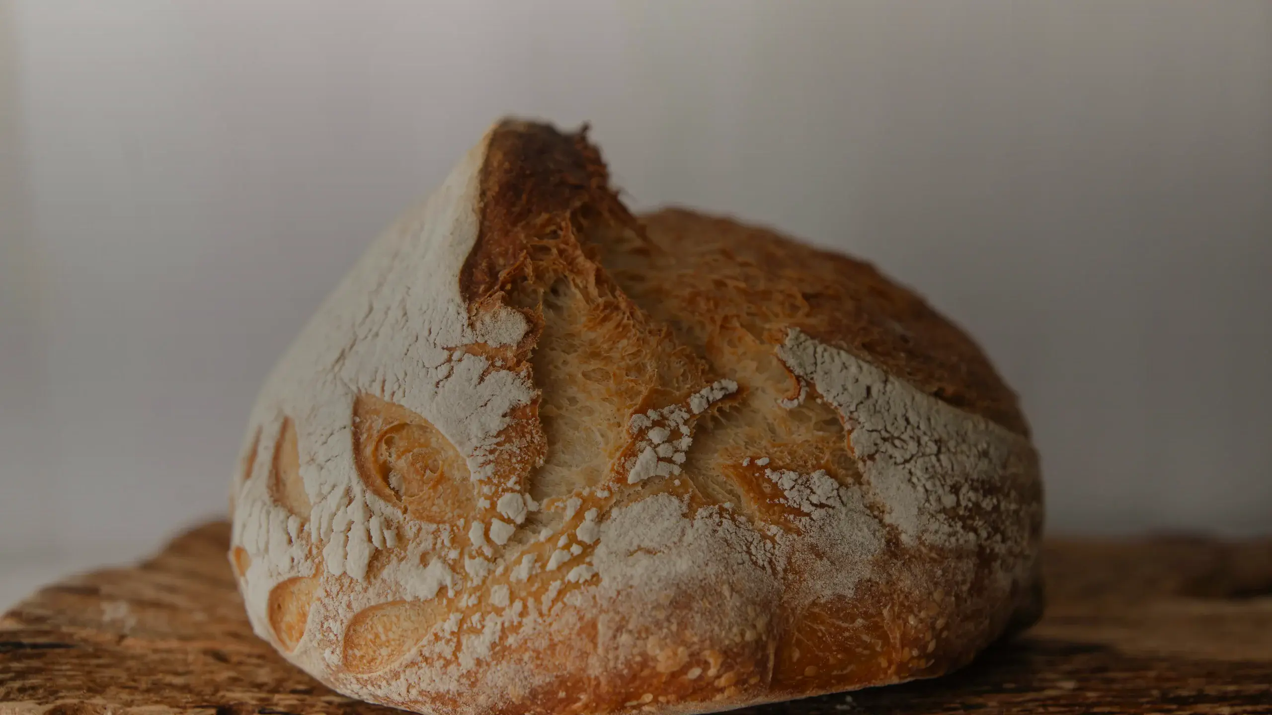 Levain pour pizza : dosage, farine et maturation
