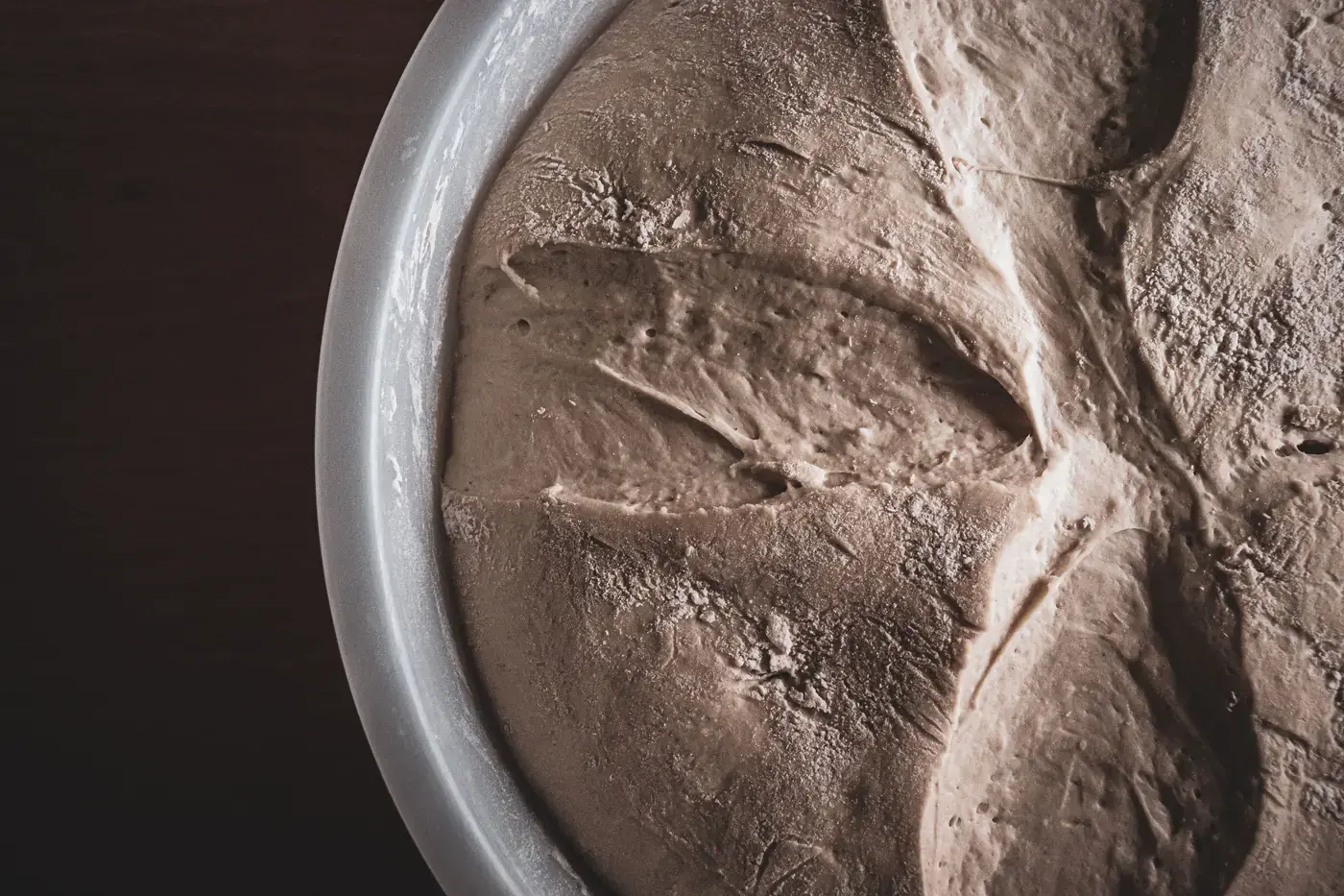 Pâte à pizza hydratée en cours de pousse